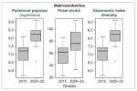 Srovnání početnosti (abundance) a diverzity makrozoobentosu mezi lety 2015 a 2020–22. Na grafu můžeme vidět, jak v rámci monitorování v těchto obdobích narostl počet zjištěných jedinců i počet druhů a celková biodiverzita. Tento nárůst značí pozitivní vliv odeznívání acidifikace způsobené lidskou činností, zároveň je ale projevem nedostatečného poznání krkonošské fauny bezobratlých. Rozdíly mezi obdobími jsou ve všech případech statisticky významné. Upraveno podle: D. Výravský a kol. (2023)