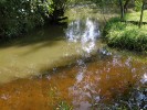 Odkalování rekreačně využívaného Stříbrného rybníka vede ke znečišťování vody v přechodně chráněné ploše. Foto R. Prausová