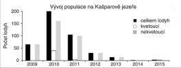Vývoj mikropopulace rdestu dlouholistého v Kašparově jezeře – odstaveném rameni řeky Orlice v Hradci Králové (vysázeno v r. 2008). Orig. R. Prausová