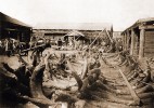 Centrem obchodu s mamutími kly a jejich zpracování je již od 18. století město Jakutsk. Svědčí o tom i skladiště z počátku 20. století. Převzato v souladu s podmínkami použití