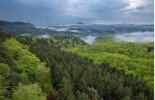 Krajina Českého Švýcarska před požárem. Pohled ze Stříbrných stěn. Foto V. Sojka
