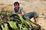 Z jedné z mnoha cest do Afriky.  Jan Suda s živou zkamenělinou –  welwitschií podivnou (Welwitschia mirabilis). Poušť Namib. Foto R. Sudová