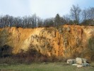 Pukliny čistých vápenců v Solvayově lomu v Českém krasu jsou vyplněny oranžově zbarvenými odvápněnými  tropickými sedimenty. Taková stanovištní diverzita se projeví i na výskytu  měkkýšů, kteří podobné nevápnité kapsy zcela míjejí. Foto L. Juřičková