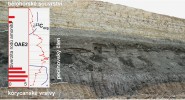 Anoxická událost OAE2 (Oceanic Anoxic Event 2) dokumentovaná na našem území – činný lom Pecínov.  Anoxické podmínky kulminují přibližně uprostřed pecínovského členu (červeně – pozitivní posun hodnot ∂13Corg –  značí nárůst bioproduktivity a pohřbení množství organické hmoty v sedimentu); modrá křivka – změny diverzity organismů. Diverzita amonitů dosahuje nejvyšších hodnot při bázi pecínovského členu, následně zcela chybí a znovu se objevují až od spodní části bělohorského souvrství. Jde již ale o nové rody, žádný  cenomanský taxon hranici nepřechází. Upraveno podle: M. Košťák a kol. (2018)