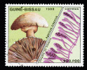 V r. 1988 vydala Republika Guinea-Bissau sérii 7 známek s vyobrazením  plodnic hub.  Ve druhé části  děleného obrázku  je ve třech případech mikroskopická houba, zatímco čtyři známky  ukazují detaily  z morfologie hub.  Pečárka dvouvýtrusá (Agaricus bisporus) a vpravo bližší pohled  na vřecka v hymeniu vřeckovýtrusné houby. Snímek z archivu A. Novákové