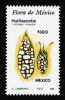Klasy kukuřice napadené snětí kukuřičnou (Ustilago maydis). Mexiko 1988. Snímek z archivu A. Novákové