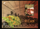 Miniaršík ukazující pěstování kávovníku ve skleníku zahrnuje i známku se semenáčkem. V popředí listy kávovníku se žlutými a oranžovými skvrnami ukazujícími na nákazu rzí Hemileia vastatrix. Portugalsko 2014. Snímek z archivu A. Novákové