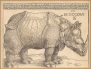 Dřevořez A. Dürera Nosorožec,  první vydání (1515). Fond Knihovny Akademie věd ČR, Praha