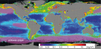 Oceánské pouště viditelné na satelitních snímcích jako oblasti s nízkou koncentrací chlorofylu ukazující na minimální množství fytoplanktonu. Ve fialově označených oblastech proběhly úspěšné pokusy se zvýšením produktivity oceánů přidáním železa (blíže v textu). Převzato z NASA, Earth Observing System Data and Information System (více na https://oceancolor.gsfc.nasa.gov/atbd/chlor_a/) v souladu s podmínkami použití, upraveno  