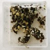 Netopýří dropinky s výraznými žlutými koloniemi nově popsaného druhu Chrysosporium speluncarum byly odebrány v jeskyni Čertova diera, Slovensko. Foto A. Nováková