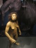 Muzejní rekonstrukce „hobbití“ ženy druhu Homo floresiensis (Indonésie); v pozadí zakrslá forma slona Stegodon z téhož ostrova Flores. Foto J. Svoboda
