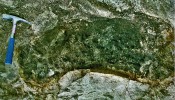 Tmavá pevná hornina uzavřená v nálezové vrstvě sopečného popela obsahovala nezpevněné části v nepravidelných enklávách nebo kavernách. Jejich proplavením jsme získali ulity měkkýšů a zuby drobných hlodavců (hojní plcho­vití, vzácnější křečkovití, veverkovití a eomyidi). Jde o torzo fosilního termitiště – první známý doklad ze starších třetihor Evropy. Foto R. Mikuláš