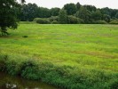 Typická stanoviště některých druhů komplexu paličkovice nachové  (Claviceps purpurea sensu lato). Druh C. humidiphila upřednostňuje vlhké louky, břehy  potoků apod. Foto K. Píchová