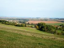 Typická stanoviště některých druhů komplexu paličkovice nachové  (Claviceps purpurea sensu lato). Druh C. purpurea s. str. se vyskytuje na otevřených stanovištích, jako jsou louky a pole. Foto K. Píchová