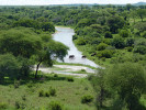 Řeka Tarangire je páteří bohaté říční sítě sytící rozlehlé mokřady a bažiny  na území národního parku. Foto D. Storch