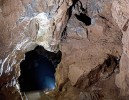 Plachetnatka dutinková (Porrhomma microcavense) lokalita v Mladečských jeskyních. Foto P. Zajíček