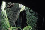 Plachetnatka jeskynní (P. egeria) žije také v chráněné krajinné oblasti Broumovsko, národní přírodní rezervace Adršpašsko-teplické skály. Foto P. Zajíček