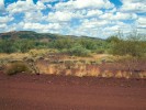 Ukázka biotopu krasce Julodimorpha saundersii. Poblíž této lokality byla nalezena larva popisovaná v článku. V pozadí pohoří Ophthalmia Range v oblasti zvané Pilbara, jedné z nejméně prozkoumaných částí Západní Austrálie. Foto S. Bílý