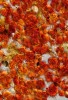 Mikroskopický snímek kolonie krvavě zbarvených buněk sinice rodu slizomíšek (Gloeocapsa, průměr buněk ca 5 μm) ve stélce lišejníku Pyrenopsis picina. Vrstvy kolonií sinic zbarvují černě mokré skály v Navorské jámě v Labském dole. Foto J. Halda