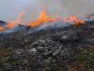 Tradiční vypalování vřesovišť v Norsku – ostrov Lygra. Foto K. Pánková