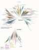 Současný fylogenetický strom pro­karyot. Barvy označují kmeny nebo dobře doložené nadkmeny. Skupiny, které  expandovaly díky nedávným objevům, jsou orámovány čárkovanou linkou. Je zřetelně vidět dlouhá větev mezi bakteriemi a archei, stejně jako pozice eukaryot vedle archeí ze skupiny Asgard. Upraveno podle: C. J. Castelle a J. F. Banfield (2018)