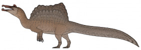 Populární severoafrický gigant Spinosaurus může být s délkou kolem 14–15 m nejdelším známým masožravým dinosaurem. Orig. C. Ashbridge. Obr. převzat z Wikimedia Commons, v souladu s podmínkami použití (https://commons.wikimedia.org/wiki/File:Spinosaurus_aegyptiacus_life_reconstruction.png)