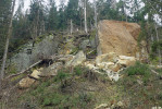Skalní zřícení pískovcových stěn je ukázkou recentních geomorfologických procesů. Údolí pod Pleskoty. Foto V. Pilous