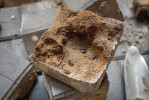 Detailní pohled na kostku „prožranou“ od larev nosorožíka včetně zbytků trusu larev. Foto D. Vondráček