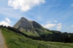 Lokalita Le Moléson ve Švýcarsku, kde se nachází hybridní zóna diploidní kostřavy luční a tetraploidní kostřavy apeninské v nadmořské výšce 1 200  až 1 800 m. Ve výšce pod 1 200 m n. m.  roste pouze kostřava luční a na místech nad 1 800 m n. m. jen k. apeninská. Foto D. Kopecký