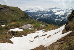 Kostřava apeninská se vyskytuje  do výšek přesahujících až 2 000 m n. m.,  jako na úbočí švýcarské hory La Para. Foto D. Kopecký