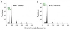 Stanovení ploidie pomocí průtokové cytometrie. Histogramy relativní  intenzity fluorescence získané  souběžnou analýzou buněčných jader banánovníku a jader kuřecích erytrocytů, která slouží jako referenční standard.  DNA jader ve vzorku byla před  analýzou barvena fluorescenčním  barvivem DAPI.  V případě diploidního banánovníku  (ITC 1511, obr. A) je poměr relativní intenzity fluorescence jader banánovníku (poloha píku na ose x ~ 50)  a kuřecích erytrocytů (na ose x ~ 100)  přibližně 0,5; u triploidního zástupce (ITC 1513, obr. B) pak vychází poměr  relativní intenzity fluorescence  jader banánovníku (poloha píku  na ose x ~ 75) a kuřecích erytrocytů  (na ose x ~ 100) zhruba 0,75.  Menší píky, které se na ose x vyskytují v polohách 200, 300, 400 a 500,  odpovídají relativní intenzitě  fluorescence shluků jader kuřecích  erytrocytů (tedy dvojic, trojic atd.). Orig. E. Hřibová