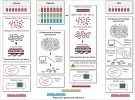 Schéma strategií a genomických zdrojů použitých pro získání referenčních genomových sekvencí ječmene setého (Hordeum vulgare), pšenice seté (Triticum aestivum) a žita setého (Secale  cereale). Ve schématech nejsou znázorněny genetické mapy, které představují  první vodítko pro umístění kontigů  (kontinuálních úseků) fyzické mapy nebo sekvencí DNA na chromozomy.  Blíže v textu. Orig. H. Šimková a H. Toegelová