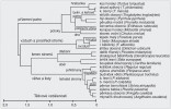 Příklad struktury potravních gild bukojedlového pralesa v NPR Šrámková. Dendrogram 26 druhů společenstva byl sestrojen na základě 38 proměnných,  které charakterizovaly potravní chování ptáků, např. v jaké průměrné výšce  probíhalo krmení, směr pohybu při  hledání potravy, frekvence využívání potravních zdrojů a potravních strategií.  Upraveno podle: M. Korňan (2005),  se svolením Ústavu biologie obratlovců Akademie věd ČR, v. v. i.