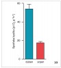 Obrázek ukazuje  rozdíl průměrné klidové hodnoty spotřeby kyslíku u aktivních plžů (duben 2010) a u těch, kteří právě procházejí letním spánkem neboli estivací (srpen 2010). Spotřeba kyslíku byla měřena pomocí Warburgova respirometru, vždy u 8 skupin plžů po 10 exemplářích v obou měsících. Během apnoických period přechází ovsenka na částečnou anaerobii, což dokazuje akumulace zplodin anaerobního dýchání, laktátu a alaninu (koncentrace jsou zjištěny pomocí plynového chromatografu spojeného s hmotnostním spektrometrem). Orig. V. Košťál