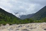 Národní park a biosférická rezervace Chuang-lung, S’-čchuan. Foto P. Bednář