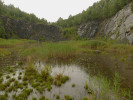 Ukázka spontánního zarůstání opuštěného lomu asi po 30 letech od ukončení těžby. Cenné jsou hlavně mokřady na živinami chudém substrátu. Foto K. Prach