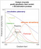 Zastoupení chorošů během tlení kmenů smrku v Boubínském pralese. Zobrazeny jen druhy se statisticky průkaznou závislostí na stadiích tlení 1–5. Zdůrazněny jsou dva dominantní druhy s vrcholy výskytu v různých stadiích – troudnatec pásovaný a ohňovec ohraničený (Phellinus nigrolimitatus). Fomirose – troudnatec růžový (F. rosea), Heteanno – kořenovník vrstevnatý (Heterobasidion annosum), Phelchry – ohňovec smrkový (P. chrysoloma), Phelviti – o. izabelový (P. viticola), Rigicroc – pórnatice černající (Rigidoporus crocatus). Hodnoty počátku a konce gradientů jsou programem dopočteny na základě celkového průběhu křivky. Orig. T. Kučera