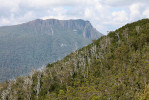 Krajina Tasmánie je vegetační mozaikou formovanou působením požárů, což je mechanismus oddělený od primárního vlivu klimatu. Potenciální přirozenou vegetaci deštných lesů tak střídají pyrofilní sklerofilní vegetace s dominantními eukalypty a požárem udržovaná vřesoviště – moorlands (tento a následující obr.). Foto P. Kuneš