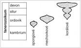 Evoluční sukcese typů útesů  mělkých tropických moří ve starším paleozoiku. Je patrné, že k hlavním změnám došlo v ordoviku, kdy se postupně objevily všechny základní typy. Šířka  grafů znázorňuje kumulativní mocnost útesů známých z celého světa v exponenciální škále. Podle: C. T. Scrutton v D. E. G. Briggs a P. R. Crowther (1990)