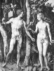 Mědirytina Albrechta Dürera s názvem Adam a Eva (1504, výřez) možná zobrazuje oskeruši.