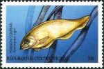 Na poštovních známkách bývají s oblibou zobrazovány akvarijní i jiné ryby. Na známce Středoafrické republiky vidíme nožovce černého 