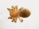 Podzemák helénský (Brommella hellenensis, délka 1,4 mm) – zcela slepý pavouk objevený v hloubce bílé stráně u Lužerad na Lounsku. Foto M. Řezáč