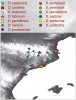 Centrum speciace druhů komplexu šestiočky rudé (Dysdera erythrina) se nachází v jihozápadní  Evropě. Orig. M. Řezáč