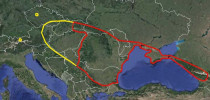 Geografické vymezení partenogeneze šestiočky uherské (Dysdera hungarica). Červená linie –  sexuální populace, žlutá – partenogenetické klony. Izolované ostrůvky na západ  od souvislého rozšíření jsou lokality v okolí Prahy (Ruzyně, Velvary, Petřín, Běchovice) a také rakouského Innsbrucku. Orig. M. Řezáč