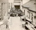 Rozdělování květin školním dětem v domě U Halánků. Praha, 1891.  Foto J. Mulač. Foto ze sbírek, archivu a knižního fondu Národního muzea – Náprstkova muzea asijských, afrických a amerických kultur