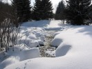 Běžným biotopem chladnomilných ploštěnek jsou nezamrzající prameny s hlubokým oběhem vody. Foto O. Simon