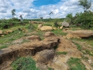 Typickou krajinu Tamilnádu v jižní Indii s paleontologickými nalezišti F. Stoličky tvoří střídající se hrubozrnné pískovce s jemným vápencem. Foto Z. Geistová