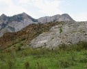 Skalní výchozy bazických hornin s křovinnou vegetací jsou typickými  stanovišti zrnovky P. alluvionica, která v současnosti obývá pouze omezené  území v ruské části Altaje. Na fotografii vidíme v území jinak vzácné výchozy vápenců, jež hostí bohatou populaci druhu. Foto M. Horsák