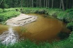 Heterogenita přírodního koryta zajišťuje relativní dostatek vody v některých partiích, kde mohou přežívat vodní  organismy. Malše u obce Leopoldschlag na česko-rakouské hranici. Foto D. Pithart