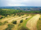 Terasy na jižní Moravě zabraňující erozi zemědělské půdy. Foto D. Vaněk